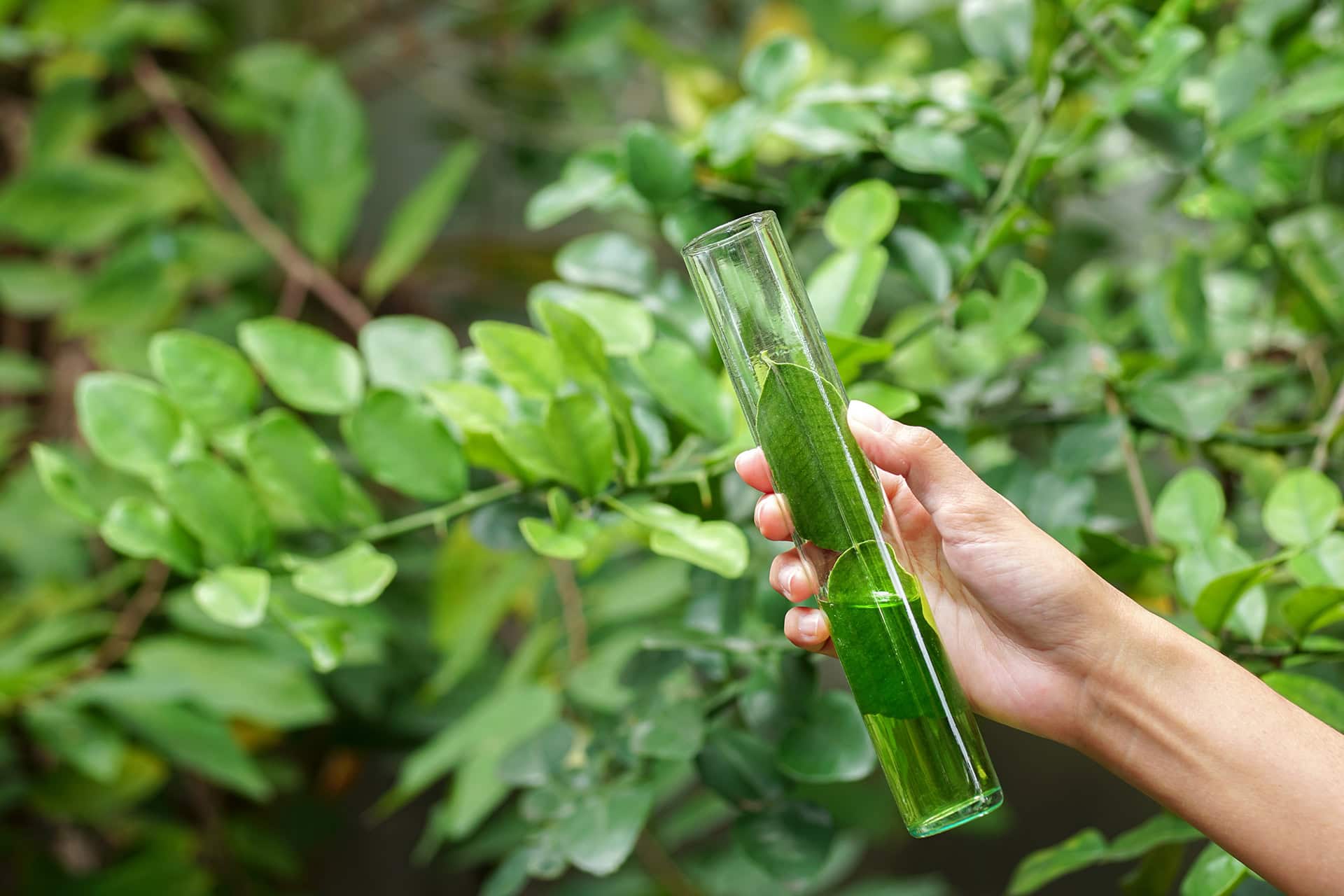 Die Experten von AuraNatura wissen, wie wichtig Spurenelemente und Vitamine für Frauen sind